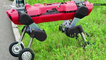 Researchers Add 4 Wheels to a 4-Legged Robot to Improve Speed and Functionality