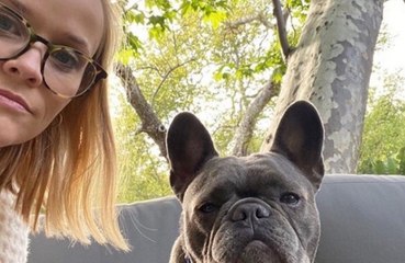 Reese Witherspoon dá adeus a cadela de estimação