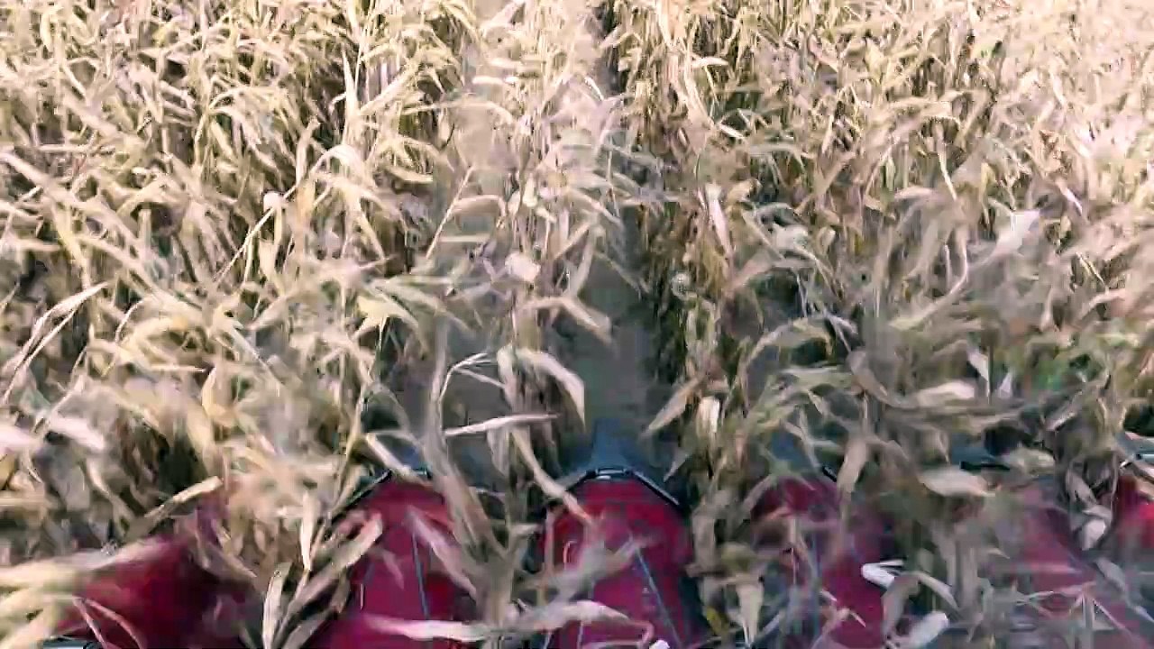 Das ändert sich in der EU-Landwirtschaftspolitik