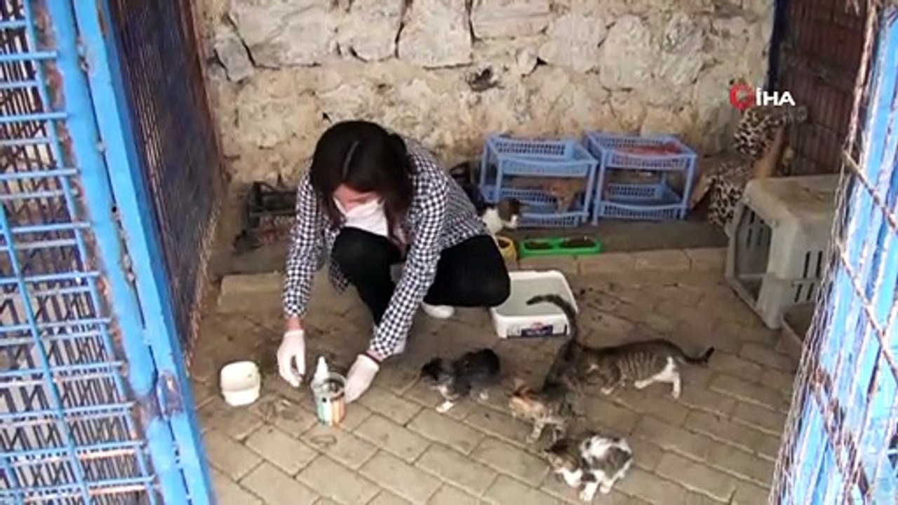 Kuşadası Hayvan Rehabilitasyon Merkezi'nde 18 ayda 3115 hayvan misafir edildi