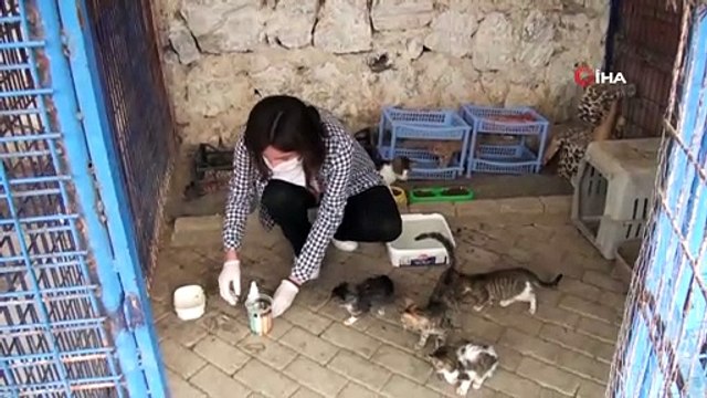 Kuşadası Hayvan Rehabilitasyon Merkezi'nde 18 ayda 3115 hayvan misafir edildi