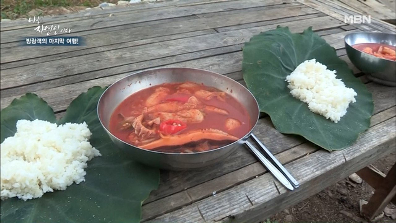 [자연밥상] 얼큰한 토란찌개 & 토란 이파리에 담은 고슬밥