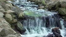 Relaxing Sound of Waterfall with soft music for Meditation, Stress Relief, Sleeping, Yoga....
