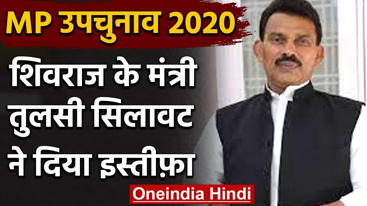 MP BY-Election 2020: Shivraj Cabinet से मंत्री Tulsi Silavat ने दिया इस्तीफा | वनइंडिया हिंदी