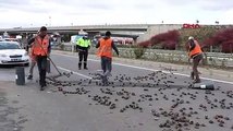 Savrulan TIR'daki yüzlerce somun yola saçıldı
