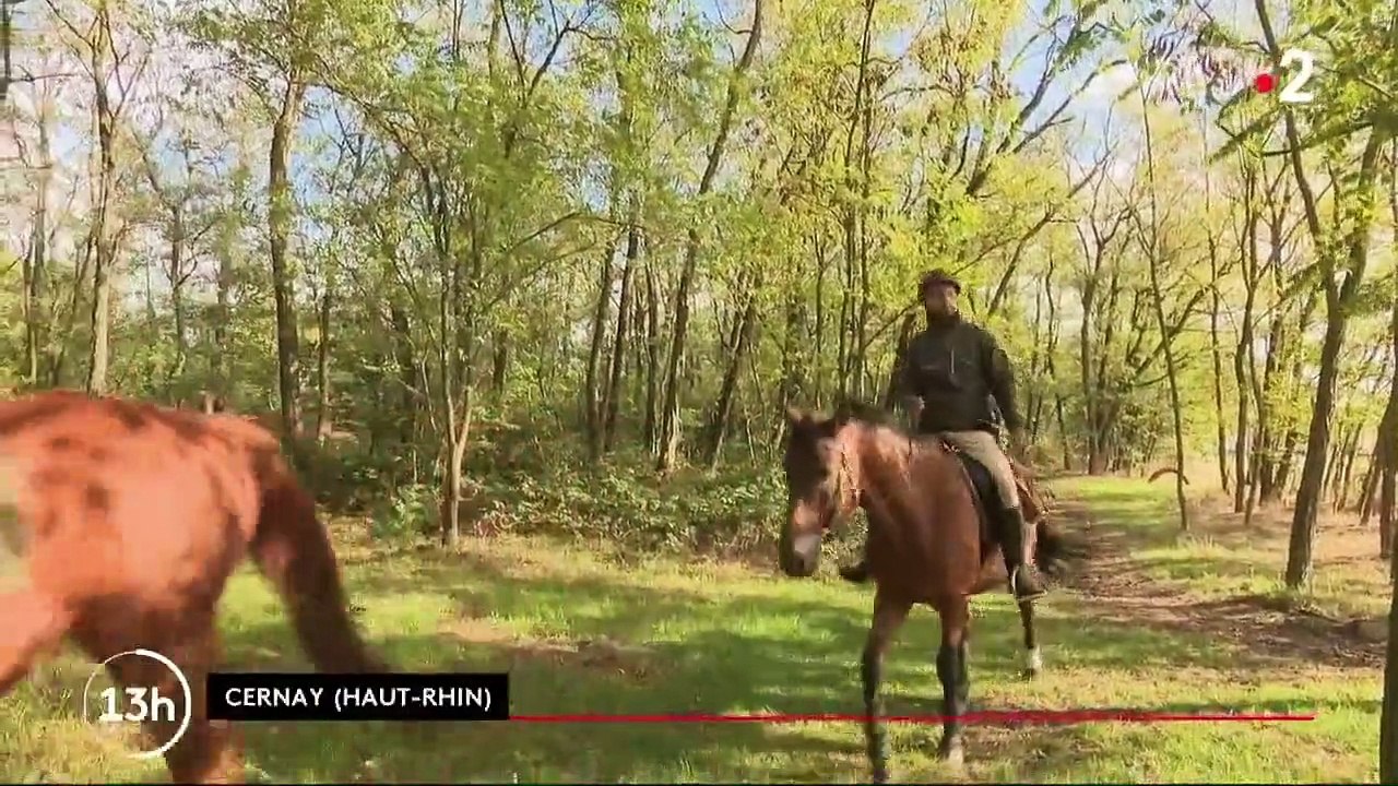 Haut-Rhin : une "brigade verte" pour surveiller les zones rurales