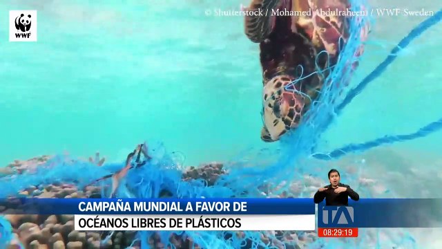 Campaña mundial a favor de océanos libres de plásticos