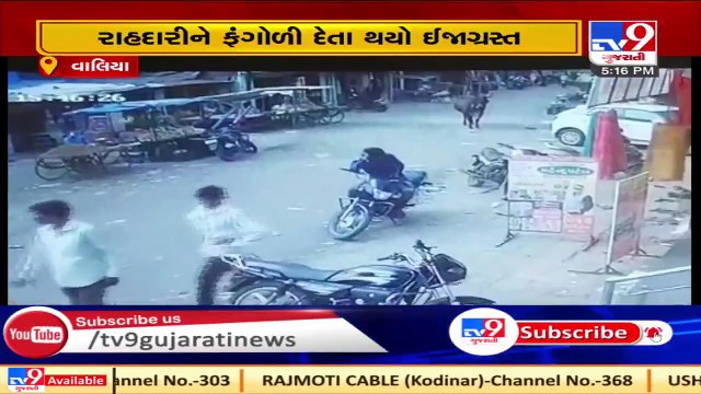 Video shows bulls fighting in the middle of busy road, Bharuch _ Tv9GujaratiNews
