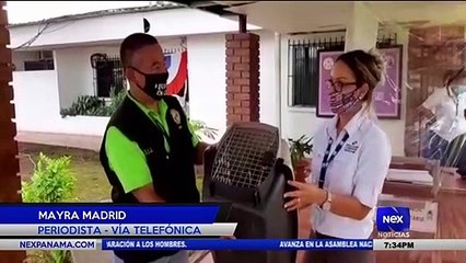 Indignación tras video de personas cazando en domingo de cuarentena - Nex Noticias