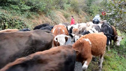 Yaylalardan dönüşler başladı
