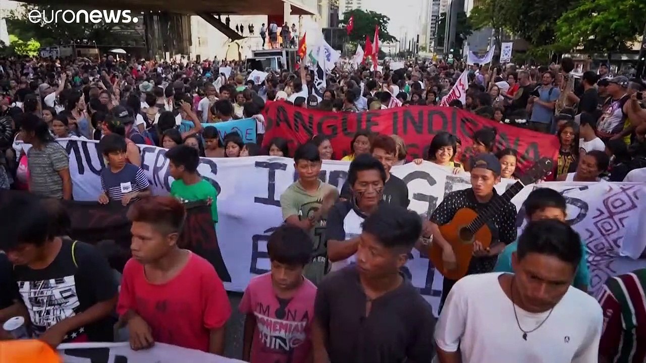 Tödlicher Kampf um den Amazonas-Regenwald