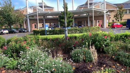 Wales Health Minister Update