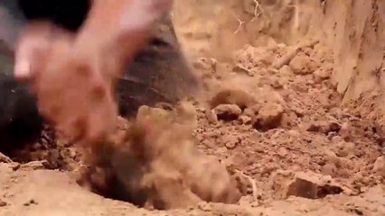 Builild a amazing waterfall fish pond