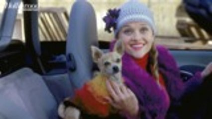 Reese Witherspoon, 'Legally Blonde' Cast Reunite For 20th Anniversary & Reveal Third Movie Release Date | THR