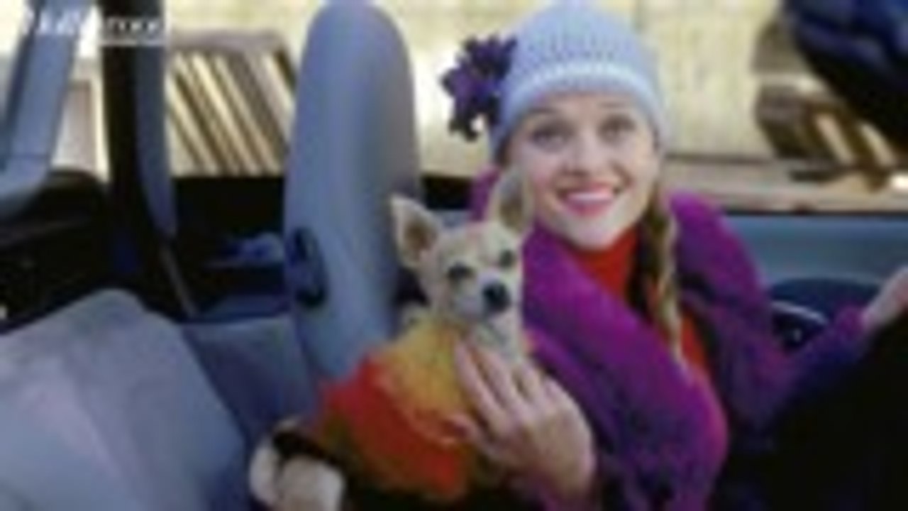 Reese Witherspoon, 'Legally Blonde' Cast Reunit...