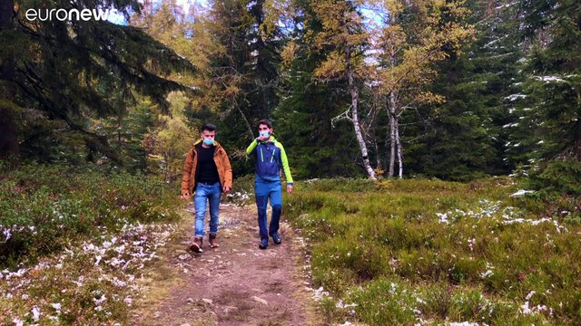 Через 50 лет в долине Шамони не останется фермеров