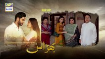 Bharaas Episode 11 - 20th October 2020 - ARY Digital Drama [newpakdramas]