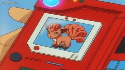 pokedex #037 vulpix 2