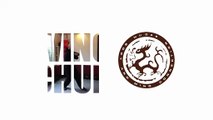 WuDae Wing Chun Kung Fu Den Haag Chum Kiu Application 1