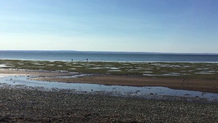 Une marée particulièrement basse à Carleton-sur-Mer