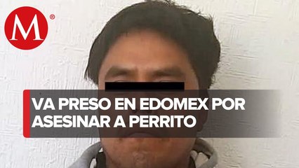 Ingresan a penal al hombre que mató a una perrita en Ixtapaluca