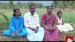 Software Engineer turns to become a successful Farmer - Pasumai Vikatan