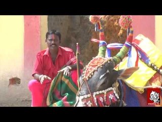 "Boom Boom Maadu" A traditional practice in South India