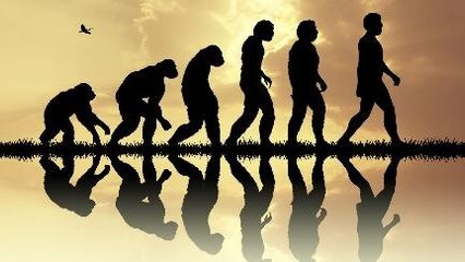 Ternyata Evolusi Manusia Masih Terus Berlanjut Hingga Saat Ini