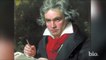 Ludwig van Beethoven - Writer of the Future - Biography