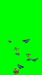 Green screen template 2020