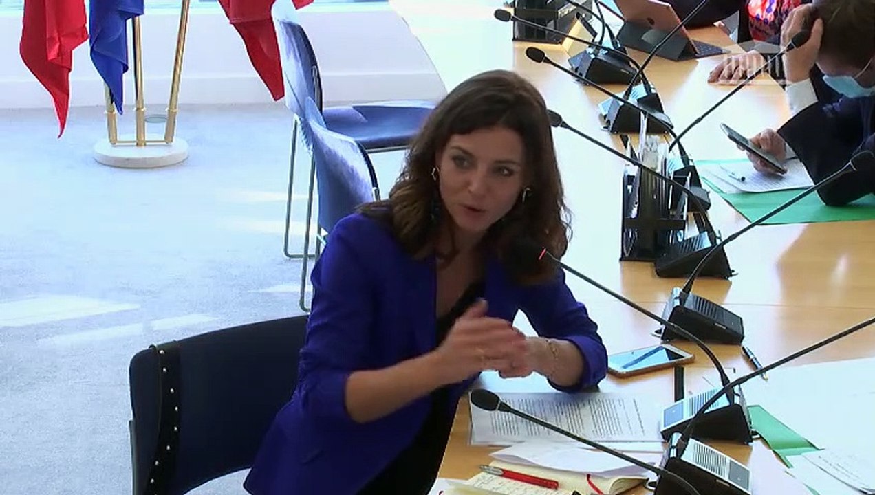 Commission des affaires européennes : Son Exc. Georges Károlyi, ambassadeur de Hongrie en France - Mercredi 21 octobre 2020