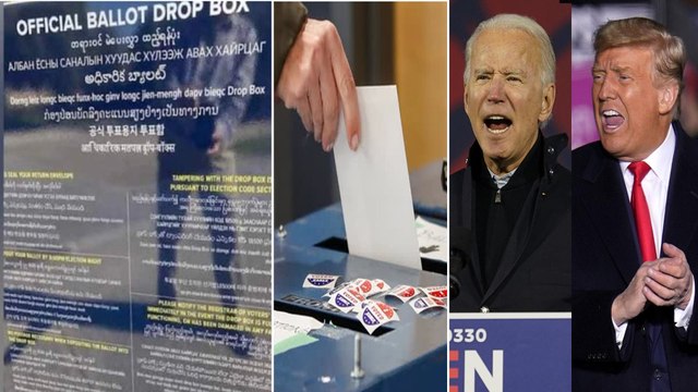 US Elections 2020 : Telugu Appears on Ballot Boxes | Voter Ballot Papers In Telugu | Oneindia Telugu