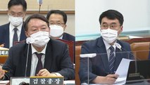 국회 법사위 대검찰청 국감…윤석열 검찰총장 출석 ⑧ / YTN