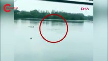 Uyarıları dinlemeden göle girdi, timsah saldırısında öldü