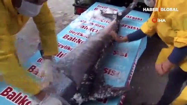 Marmara Denizi açıklarında dev 'Kılıç Balığı' yakalandı