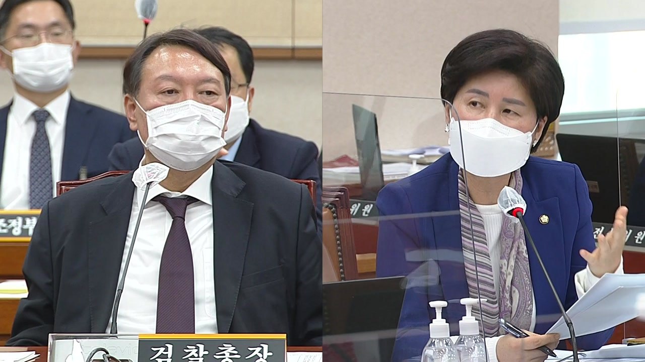 국회 법사위 대검찰청 국감…윤석열 검찰총장 출석 ⑪ / YTN