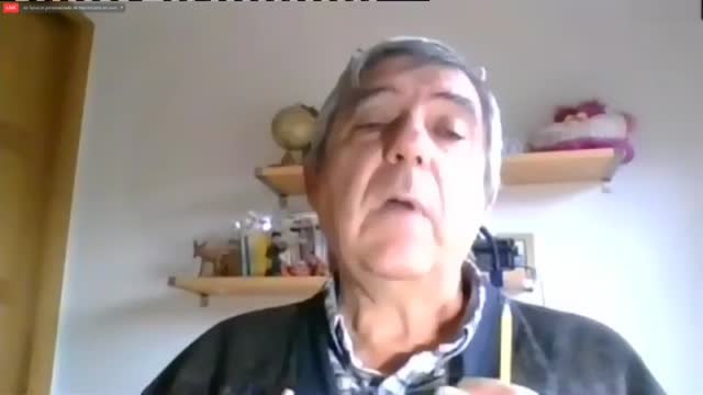 Sin insectos no habría vida