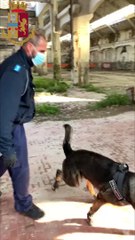 Reggio Emilia - Sequestro di droga alle Ex Reggiane (21.10.20)