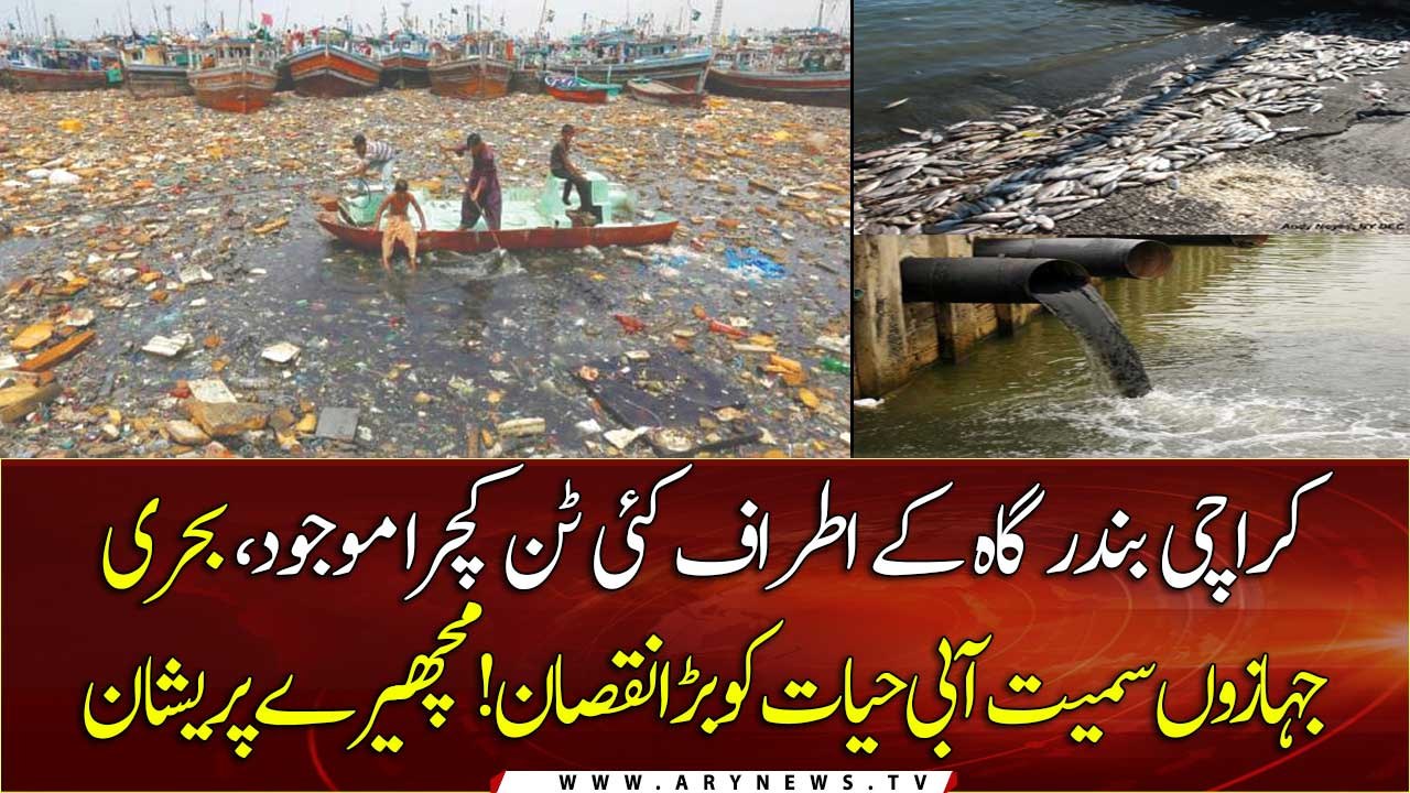 Tons of garbage around Karachi port affecting aquatic life and ships