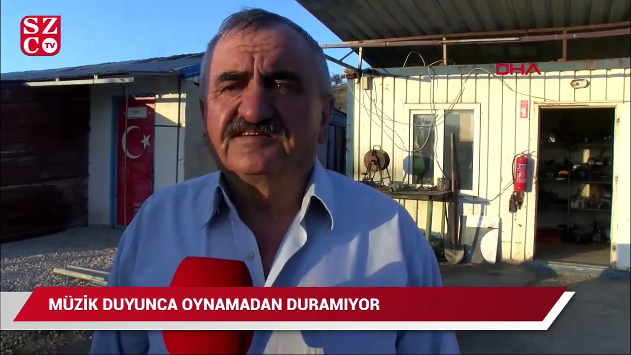 Müzik duyunca oynamadan duramıyor