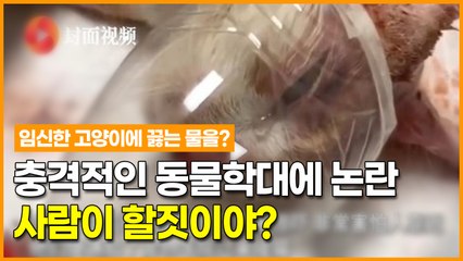 충격적인 동물학대 논란, 사람이 할짓이야?