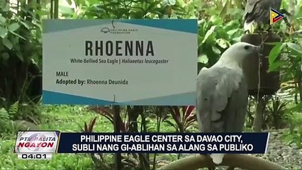 Download Video: #PTVBalitaNgayon | Philippine Eagle Center sa Davao City, subli nang gi-ablihan sa alang sa publiko