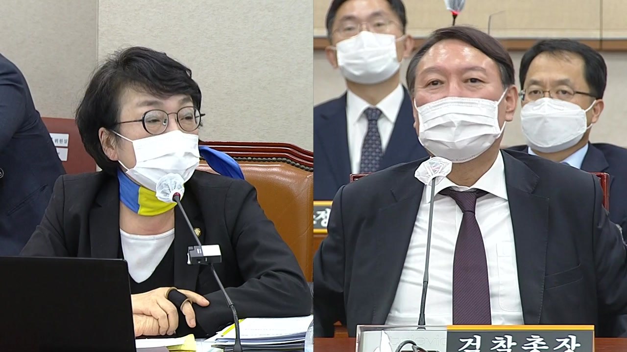 국회 법사위 대검찰청 국감…윤석열 검찰총장 출석 ⑬ / YTN