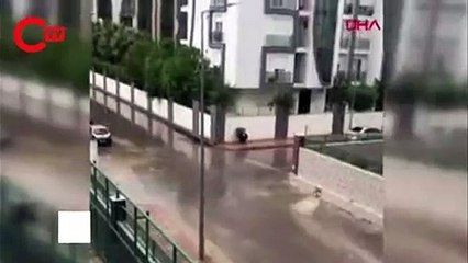 Sokak köpeğini yağmurdan böyle korudu