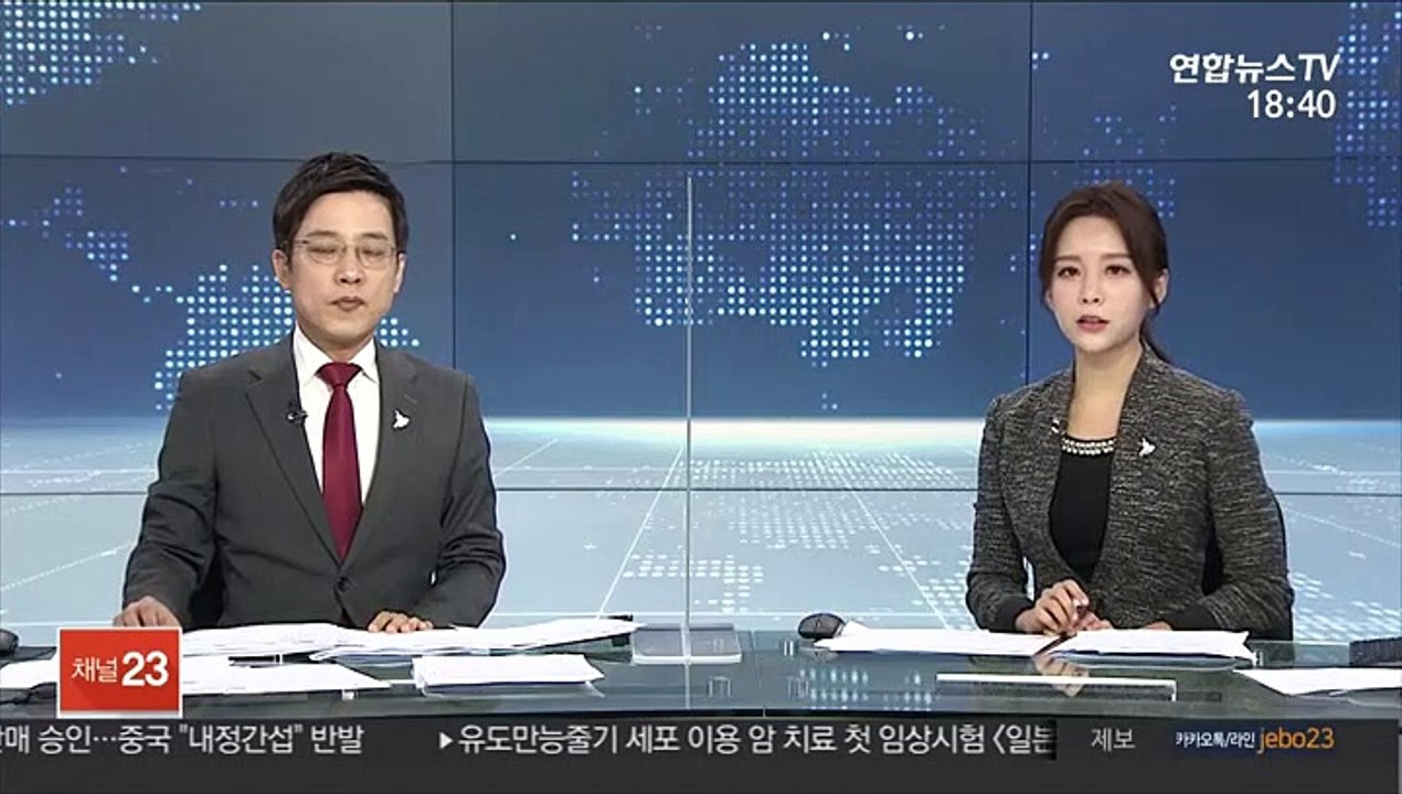'직원 갑질 폭행' 한진家 이명희 2심도 실형 구형