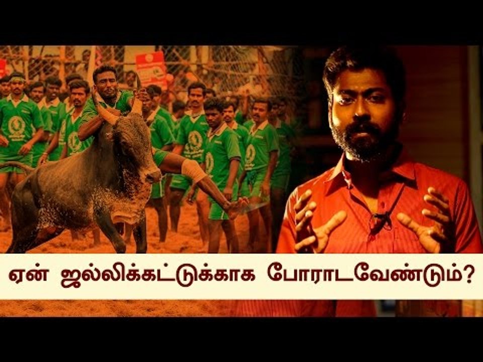 நாட்டு மாட்டோட 4 ஹைலைட்ஸ் தெரியுமா?  #Weneedjallikattu