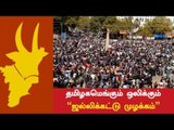 தமிழகமெங்கும் ஒலிக்கும் 'ஜல்லிக்கட்டு முழக்கம்'