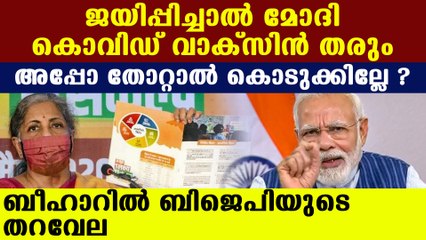 Nirmala Sitharaman released NDA's manifesto for Bihar election