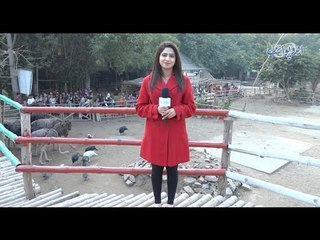 Rana Resort Lahore Ki Sair