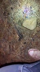 Never Hike Alone: The Lost Scenes | "Ghost Jason Attacks" | (2020) HDV